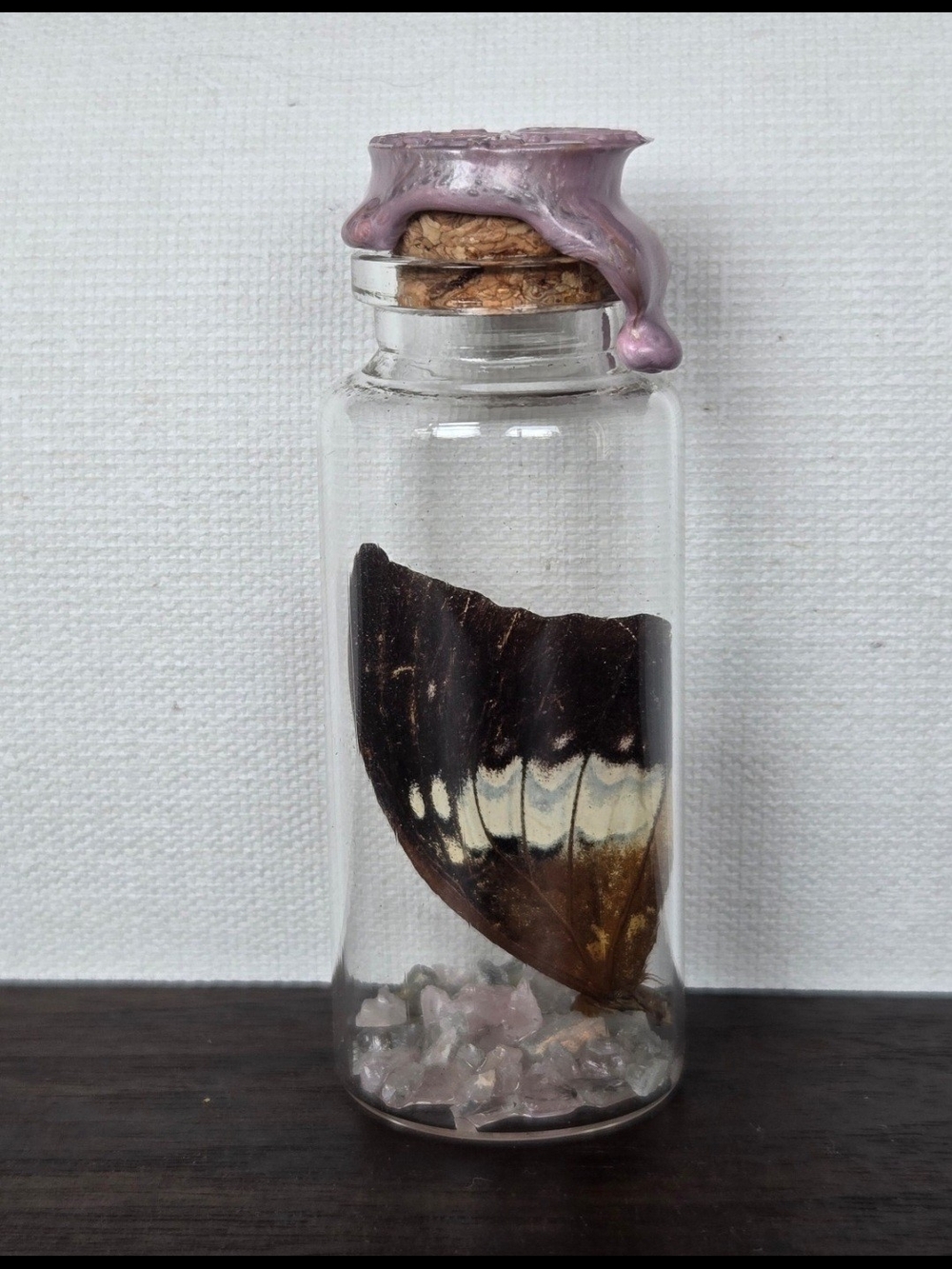 Butterfly Wing In Jar